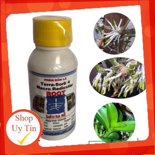 - Phân bón lá siêu ra rễ tera-sord 4 ROOT 100ml chất.