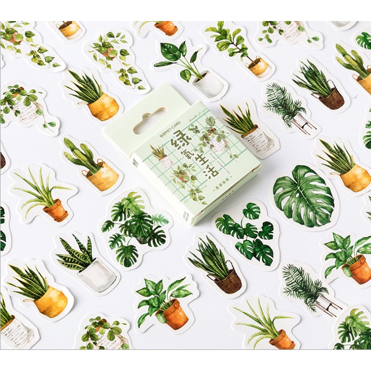 Hộp 45 miếng dán, Sticker trang trí thiệp, sổ, đồ dùng cá nhân chủ đề CÂY VÀ HOA độc lạ BAG U