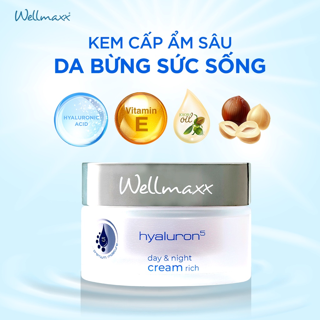 Kem dưỡng cấp nước ngày và đêm Wellmaxx Hyaluron5 Anti-Age Day & Night Absolute Cream Rich 50ml (Tinh Tế Beauty)