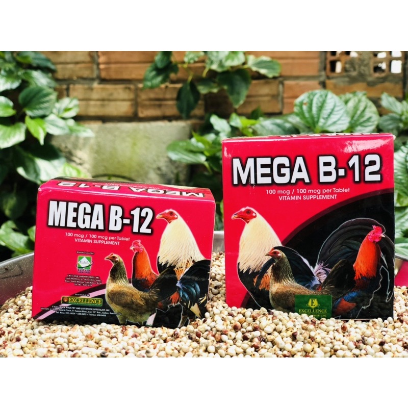 MEGA B12 thuốc nuôi cho gà đá, Thuốc tăng thể lực cho gà 1 hộp 10 vỉ 100 viên