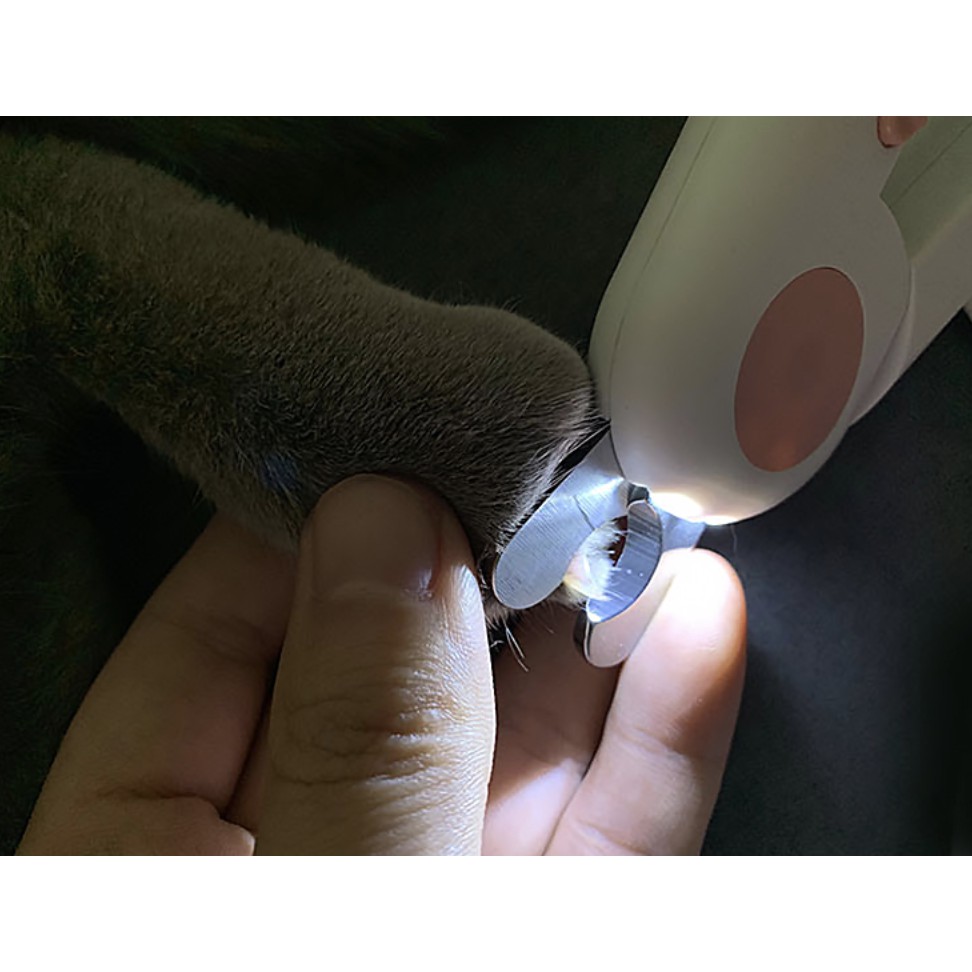 Bấm móng thông minh cho thú cưng