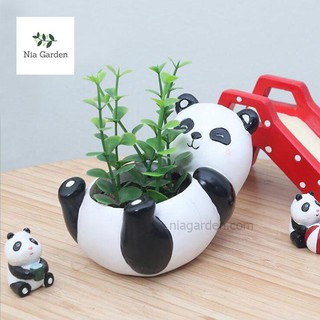 Chậu gấu trúc panda trồng cây để bàn, sen đá - CTK