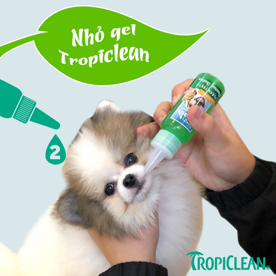 Bộ 2in1 sạch răng Tropiclean, kit gel nước vệ sinh chăm sóc răng miệng mảng bám hôi miệng cho chó Con Mèo Xiêm