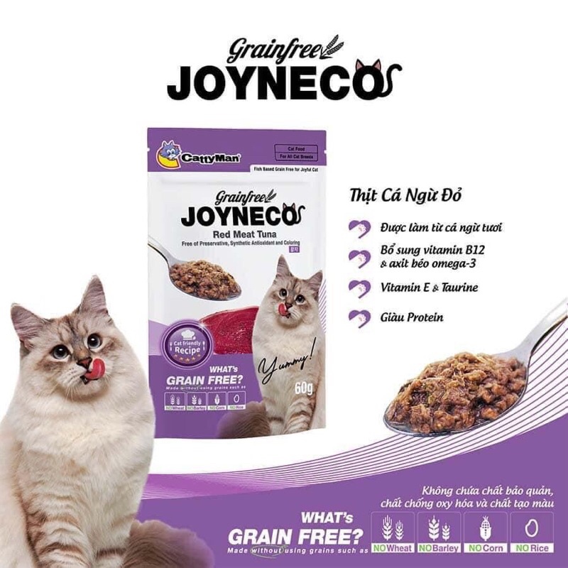 [ Combo 12 gói ] Pate Joyneco Cattyman gói 60g - Pate cho mèo vị cá ngừ cá thu cá hồi date mới giá rẻ