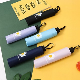 Ô Hoa Cúc Họa Mi