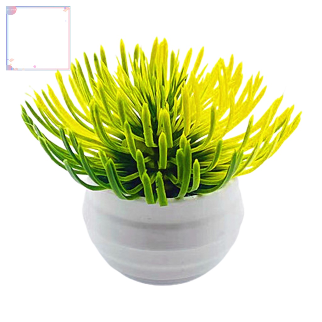 Chậu Cây Sa Mạc Nhân Tạo Chống Tia UV Trang Trí Sân Vườn