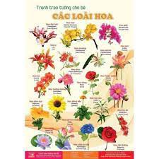 Bộ tranh treo tường 14 chủ đề kích thích sự thông minh cho bé