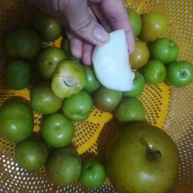 Mận sơn la