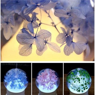 Máy Xông Tinh Dầu Flower Bình Hoa Phun Sương