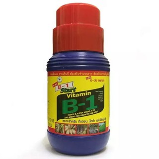 Phân Bón Lá Vitamin B1 Thái Lan 500ml