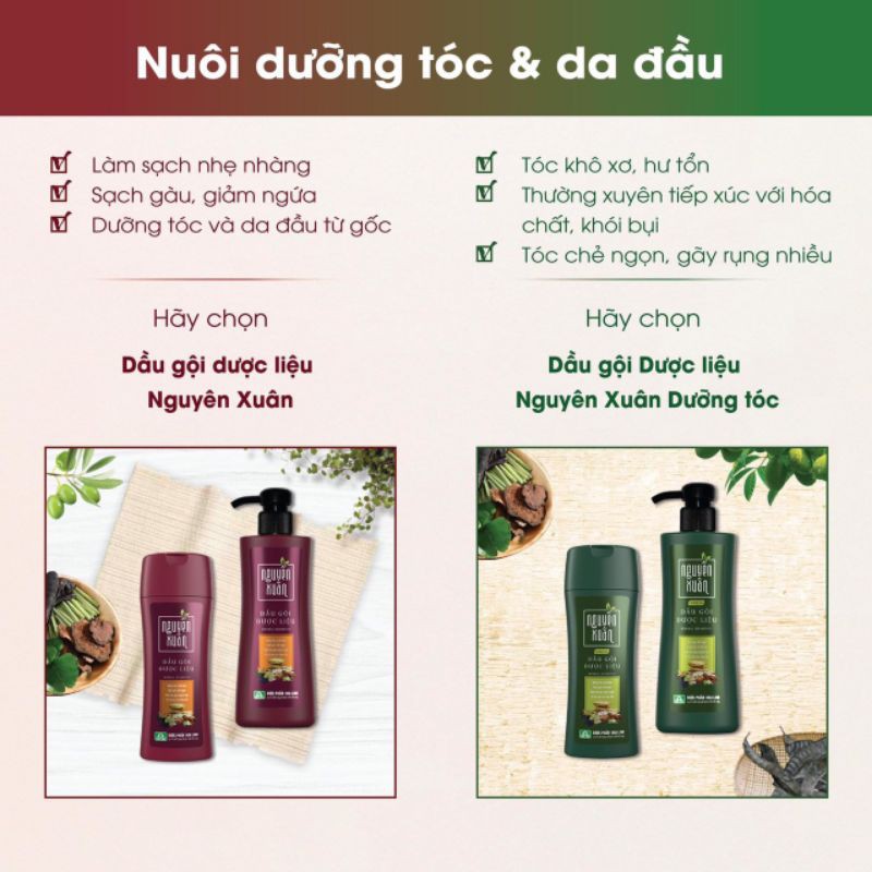Bộ dầu gội Nguyên Xuân giúp Dưỡng tóc, phục hồi hư tổn, dành hư tổn, tóc bết, tóc thường