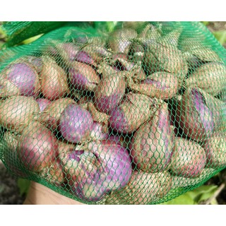 [1 Kg] CỦ HÀNH HƯƠNG ĐẶC SẢN BÌNH ĐỊNH