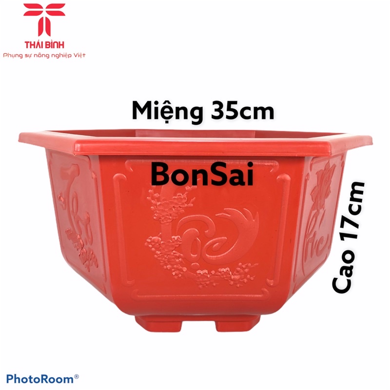 Chậu nhựa Bonsai GIÁ TẠI XƯỞNG (Loại nhất)-Chậu Nhựa Thái Bình