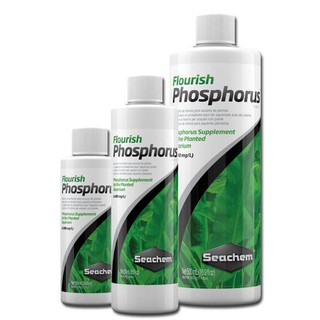 [CÓ TEM] Phân nước Seachem Flourish Phosphorus bổ sung Photpho cho hồ thủy sinh