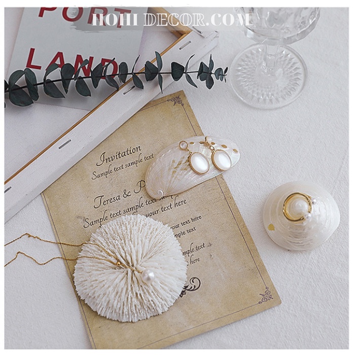 Vỏ Sò, Vỏ Ốc, San Hô Trang Trí Chụp Ảnh Trang Sức, Mỹ Phẩm - Shop Hohi Decor