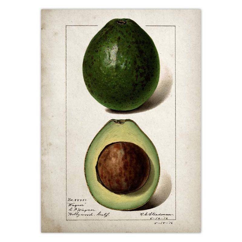 Tranh Vải Bạt Treo Tường In Hình Quả Lê Quả Lê Cổ Điển Trang Trí Nhà Bếp