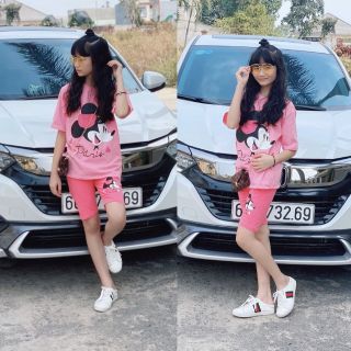 Bộ cotton size đại 20/40 kg