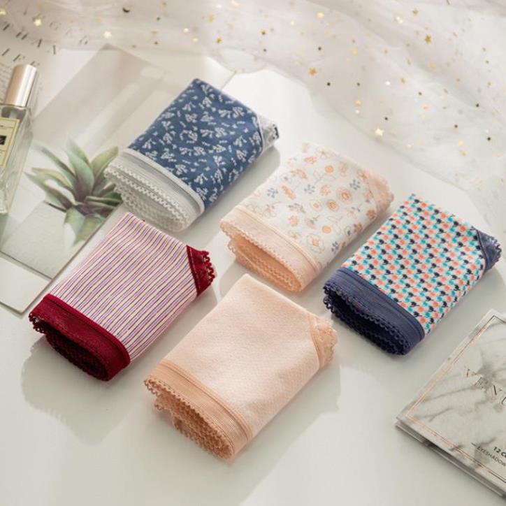 Quần Lót Nữ Cotton Nâng Mông Trẻ Trung Gợi Cảm Phối Hoạ Tiêt Ms 0742