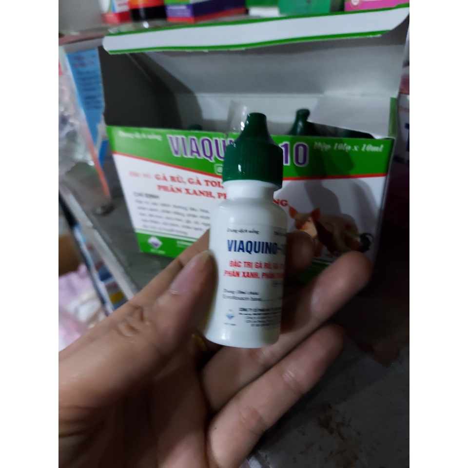 VIAQUINO-10 dùng khi gà đi ngoài