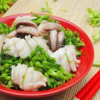 CÂY GIỐNG HOA THIÊN LÝ