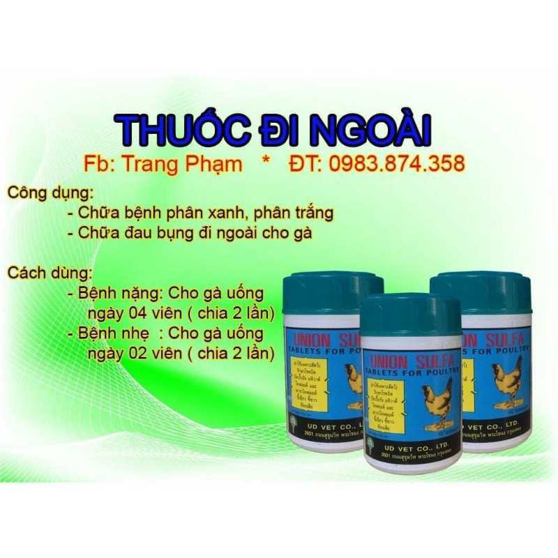 Đi ngoài phân xanh phân trắng cho gà