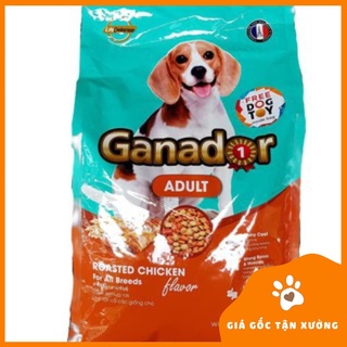 Ganador Adult Roasted Chicken Flavor cho chó lớn