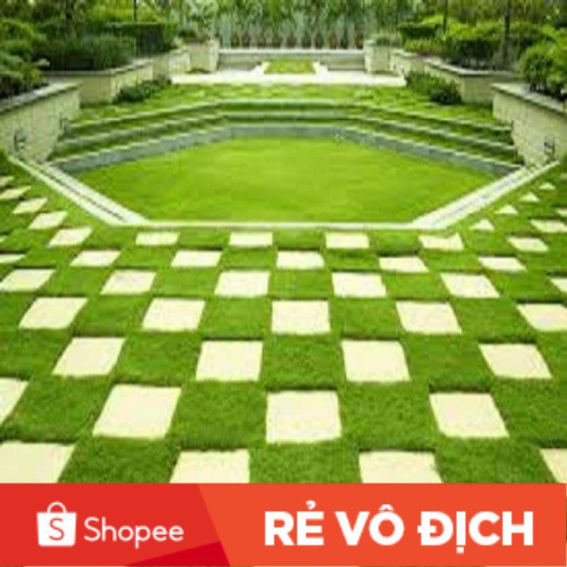 10 gam hạt giống cỏ nhung nhật💖SALE SOCK💖 chất lượng cao