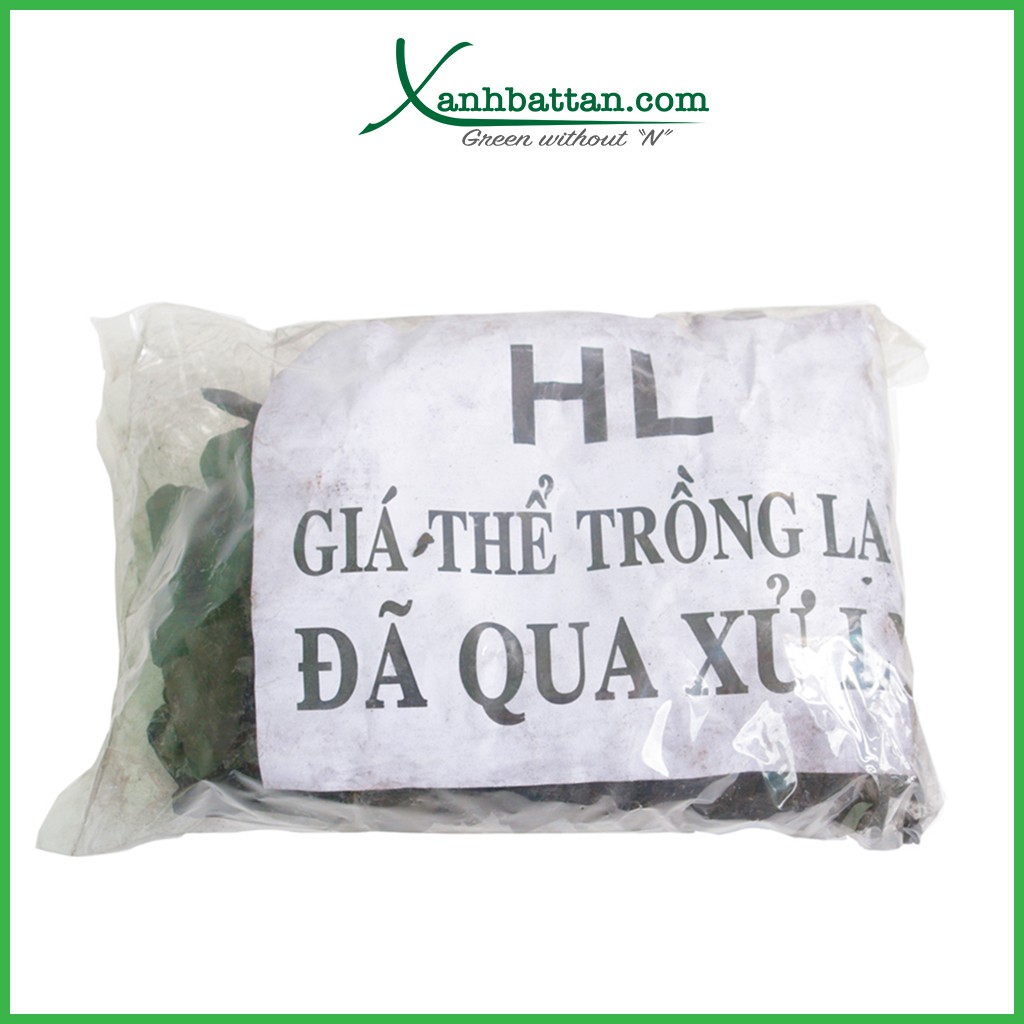 Giá thể than củi trồng phong lan đã qua xử lý 400 gram