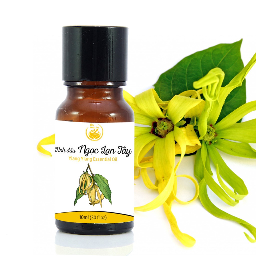 Tinh dầu ngọc lan tây (Ylang Ylang) thiên nhiên nguyên chất An Herb &amp; Tea