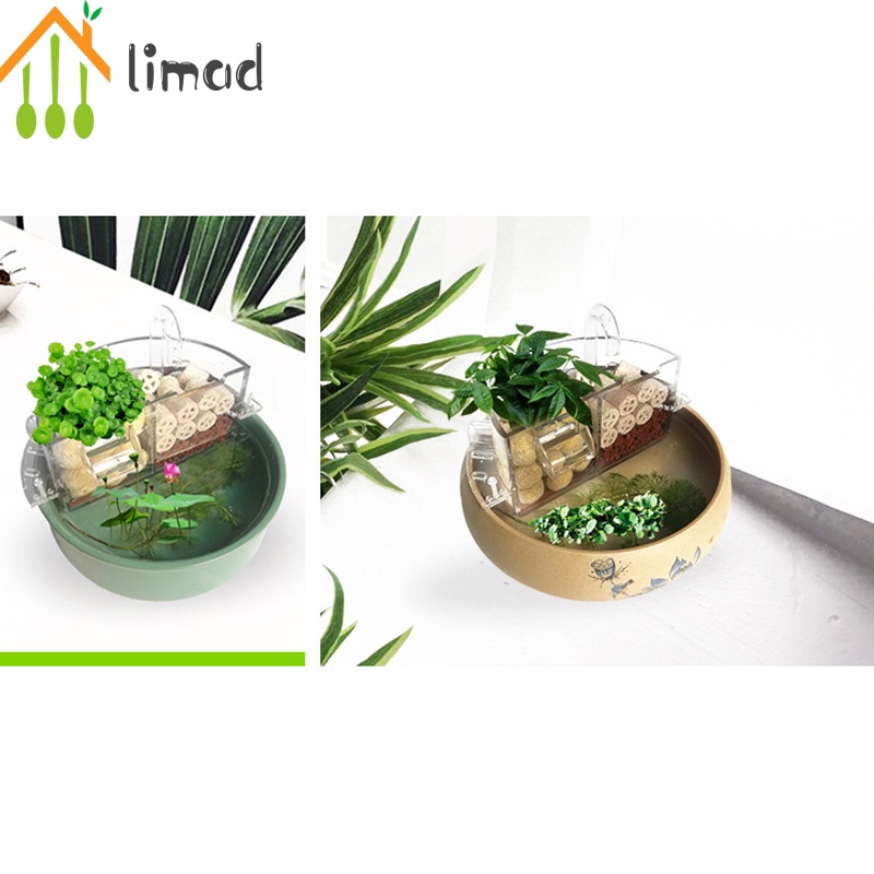 Phụ Kiện Hộp Lọc Nước Ngoài Hình Tròn Bằng Acrylic Cho Bể Cá