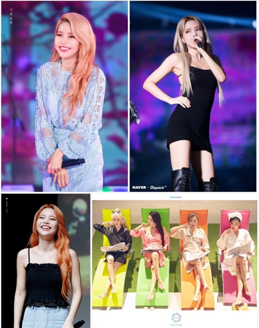 Poster khổ A4-A5-A6 Mamomoo - Hwasa - Solar - Moonbyul - Wheein tự do chọn mẫu ( Mua 2 tặng 1 )