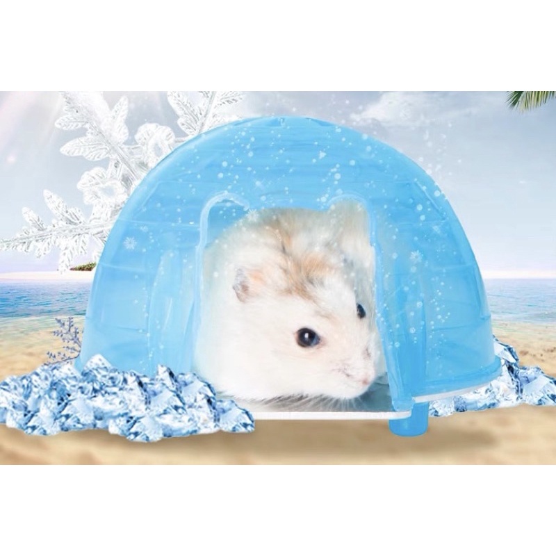 nhà lạnh bắc cực Jolly cho hamster