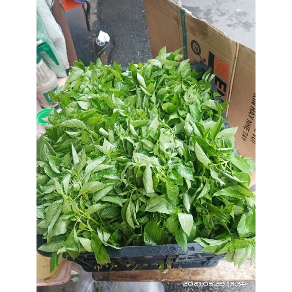 LÁ É TƯƠI ĐẶC SẢN PHÚ YÊN | BigBuy360 - bigbuy360.vn