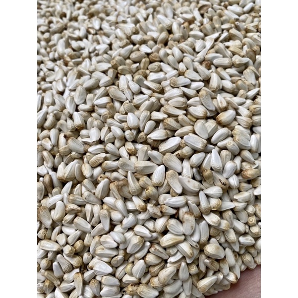 Hạt Kham- Thức ăn cho gà,vẹt,hamster, chim