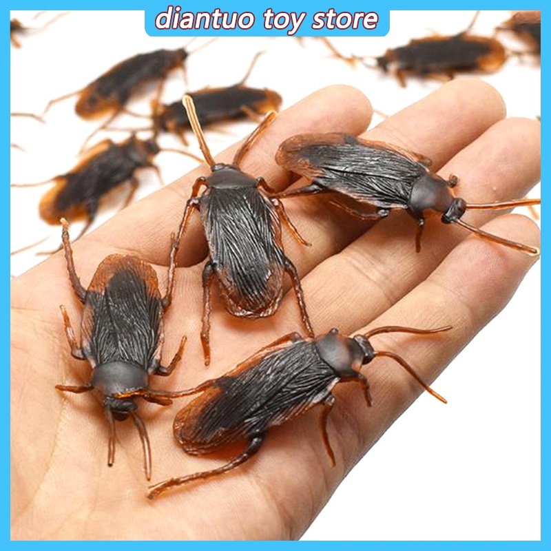 10 Mô hình cao su mô phỏng gián nhân tạo độc đáo vui nhộn