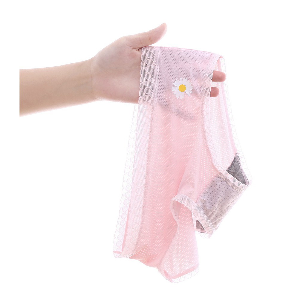 Quần Lót Nữ Su Đúc Thông Hơi Hoa Cúc Kháng Khuẩn Túi Zip Riêng Biệt - Quần Lót Nữ AirBra Kháng Khuẩn | BigBuy360 - bigbuy360.vn