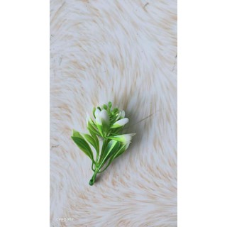 1 lạng cỏ điểm 18k