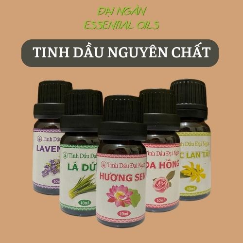 Tinh dầu xông phòng oải hương tràm trà hoa nhài nguyên chất thiên nhiên 10ml