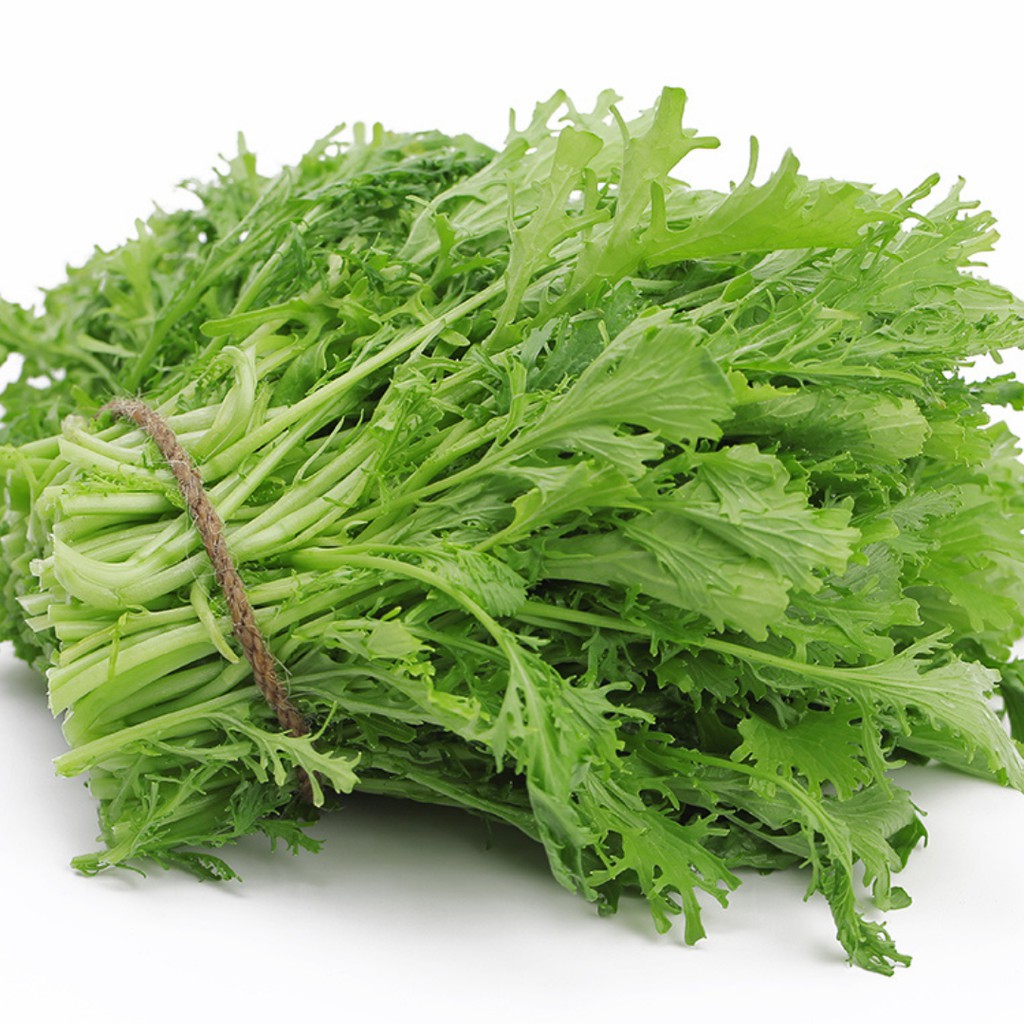 Hạt giống cải đuôi phụng