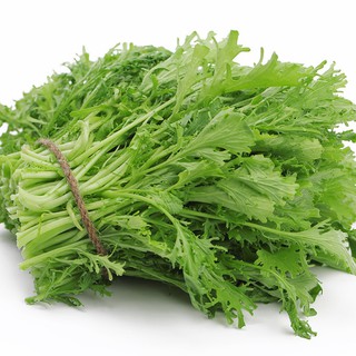 Hạt giống cải đuôi phụng