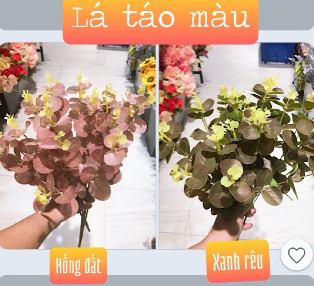 Cụm lá táo điểm hoa sáp,hàng loại 1 - HN5