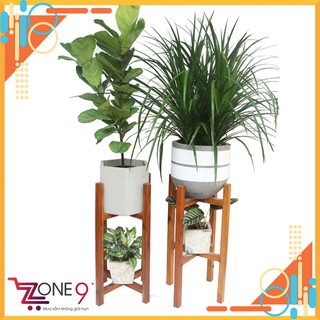 Đôn kê chậu cây cảnh 2 tầng gỗ bông tràm c65cm r32cm d32cm