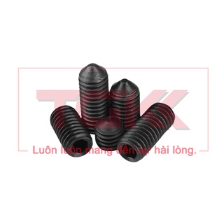 Vít trí đầu nhọn thép đen M3