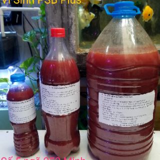 Vi Khuẩn quang hợp PSB Plus ( chai 1,5 lít )