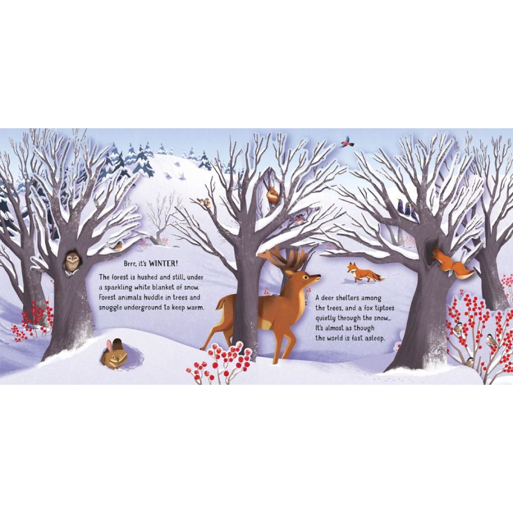 Sách Usborne - Tương tác bật mở Pop up Seasons