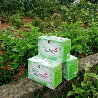 Diệp Lục Collagen