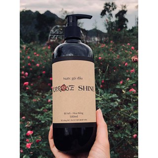 Nước gội đầu Karose Shine