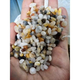 Đá Sỏi Nhiều Màu Cỡ Hạt Bắp Trang Trí Hồ Cá Sân Vườn 2- 20mm