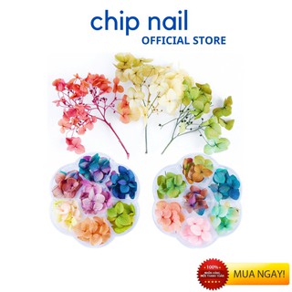 Hoa khô lụa cánh to ẩn móng nail trang trí móng