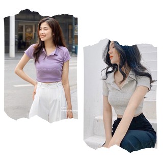Áo croptop len tăm đen trắng xám tím ulzzang - áo polo croptop len tăm cổ bẻ basic